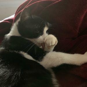 Meet your Posher, Marin